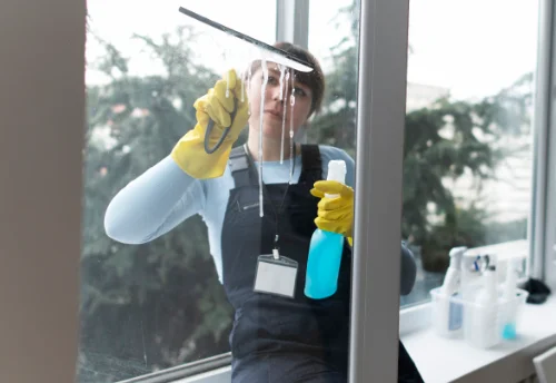 Nettoyage de vitres intérieures et extérieures à Gressey
